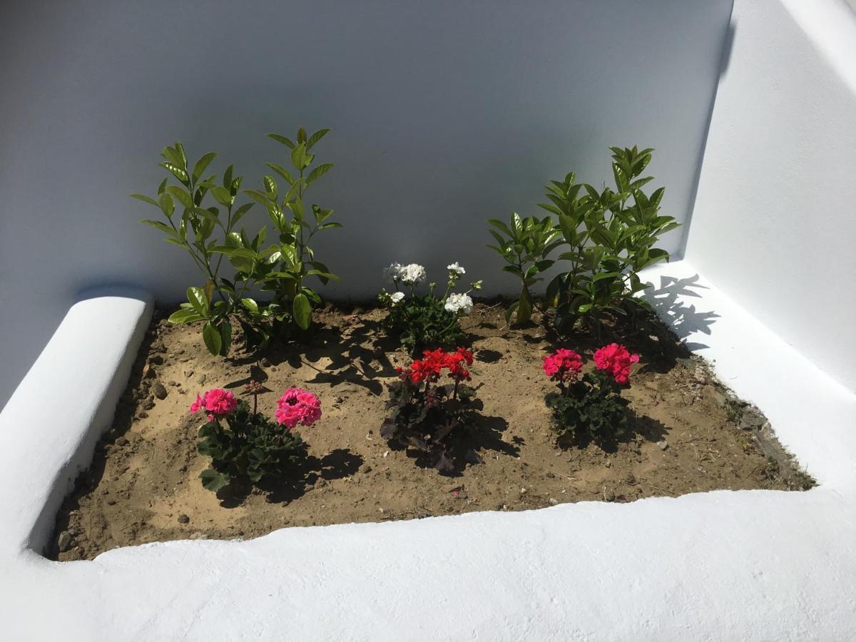 Tínos Boussetil Apartment מראה חיצוני תמונה